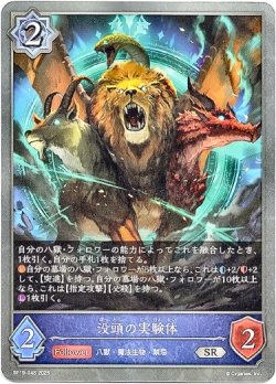 画像1: 没頭の実験体