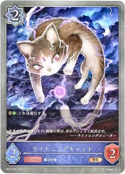 画像1: ライトニングキャット