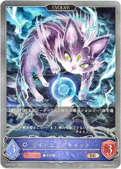画像1: 【EVOLVE】ライトニングキャット