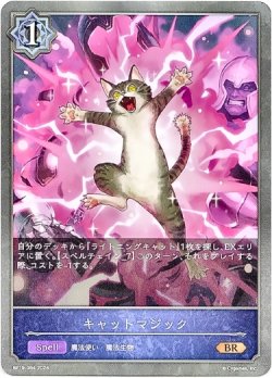 画像1: キャットマジック