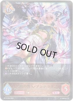 画像1: ※傷有り品（返品交換対象外）遊猟の咎人・アンテマリア