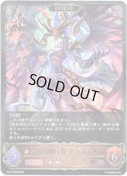 画像1: ※傷有り品（返品交換対象外）【EVOLVE】禁牙の執行者・ドラズエル