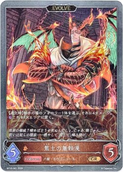 画像1: 【EVOLVE】焦土の無頼漢