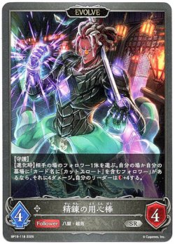 画像1: 【EVOLVE】精錬の用心棒