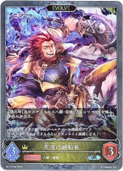 画像1: 【プレミアム】【EVOLVE】荒波の副船長