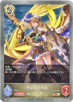 画像1: 聖騎士の団員
