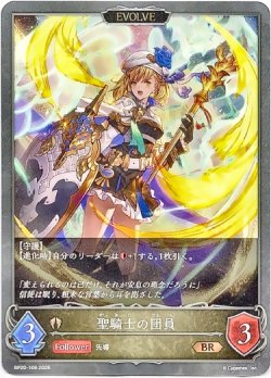 画像1: 【EVOLVE】聖騎士の団員