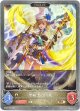【EVOLVE】聖騎士の団員