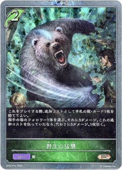 画像1: 【プレミアム】野生の猛襲