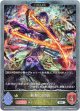 【プレミアム】【EVOLVE】剣聖の同胞