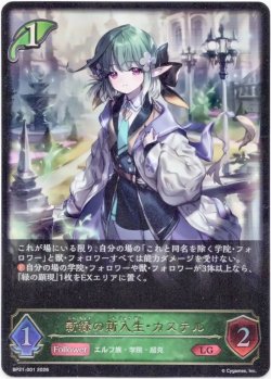 画像1: ※傷有り品（返品交換対象外）新緑の新入生・カステル
