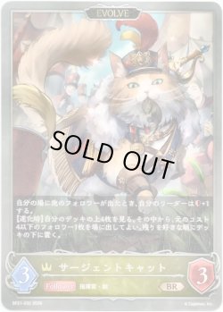 画像1: 【EVOLVE】サージェントキャット