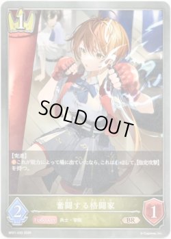 画像1: 奮闘する格闘家