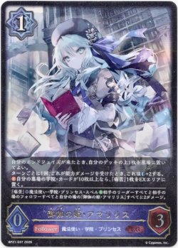画像1: ※傷有り品（返品交換対象外）御伽の姫・アマリリス