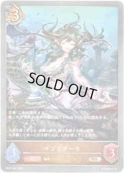 画像1: イプピアーラ