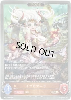 画像1: 【EVOLVE】イプピアーラ