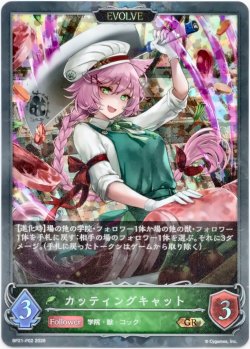 画像1: 【プレミアム】【EVOLVE】カッティングキャット