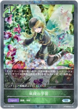 画像1: 【プレミアム】妖精の学習