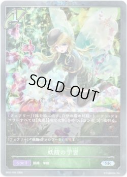 画像1: 【プレミアム】妖精の学習