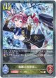 【プレミアム】飛躍の双剣使い