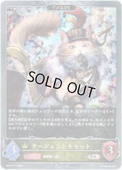 画像1: 【プレミアム】【EVOLVE】サージェントキャット