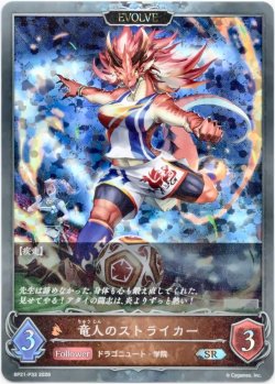 画像1: 【プレミアム】【EVOLVE】竜人のストライカー
