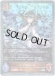 【プレミアム】イプピアーラ