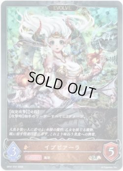 画像1: 【プレミアム】【EVOLVE】イプピアーラ