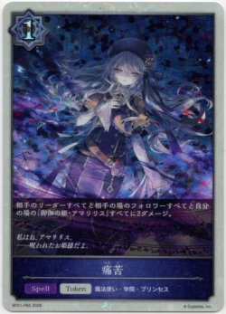 画像1: 【プレミアム】痛苦