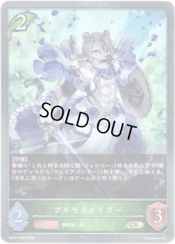 画像1: アネモネタイガー