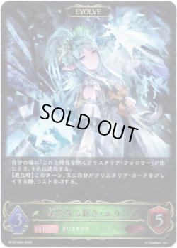 画像1: ※傷有り品（返品交換対象外）【EVOLVE】永久なる輝き・エリン