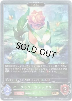 画像1: 【EVOLVE】フラワーフォックス