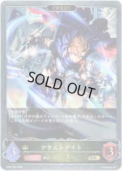 画像1: 【EVOLVE】アサルトナイト