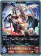 【EVOLVE】黒白の乱舞・ノール＆ブラン