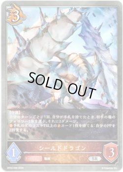 画像1: シールドドラゴン