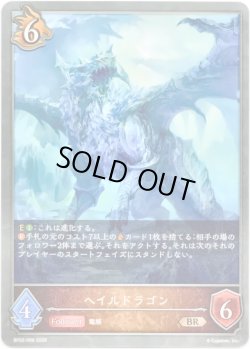 画像1: ヘイルドラゴン