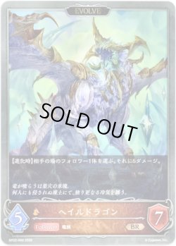画像1: 【EVOLVE】ヘイルドラゴン
