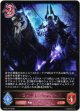 ※傷有り品（返品交換対象外）スケルトンレイダー