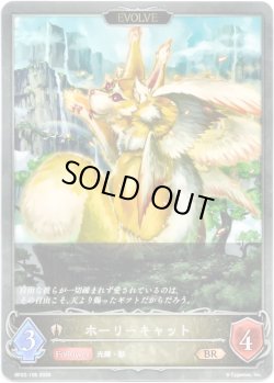 画像1: 【EVOLVE】ホーリーキャット