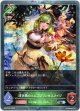 【プレミアム】清き泉のエルフプリンセスメイジ