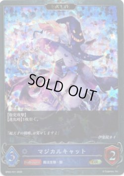 画像1: 【プレミアム】【EVOLVE】マジカルキャット