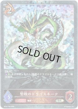 画像1: 【プレミアム】堅殻のドラゴスネーク