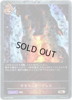 画像1: 【プレミアム】サラマンダーブレス