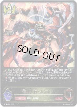 画像1: 草の大将・タケミミ