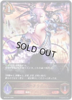 画像1: 天威のドラグーン
