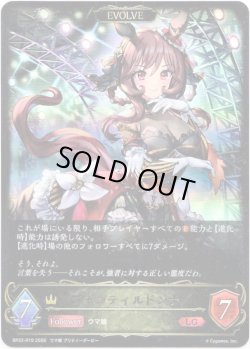 画像1: 【EVOLVE】ジェンティルドンナ