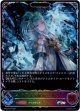 ※傷有り品（返品交換対象外）【スーパーレジェンド】【EVOLVE】永久なる輝き・エリン