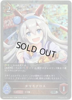 画像1: 【プレミアム】タマモクロス