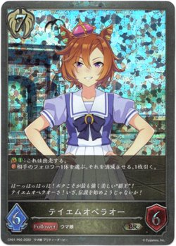 画像1: 【プレミアム】テイエムオペラオー