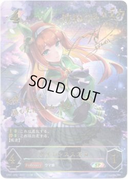 画像1: 【SP】サイレンススズカ